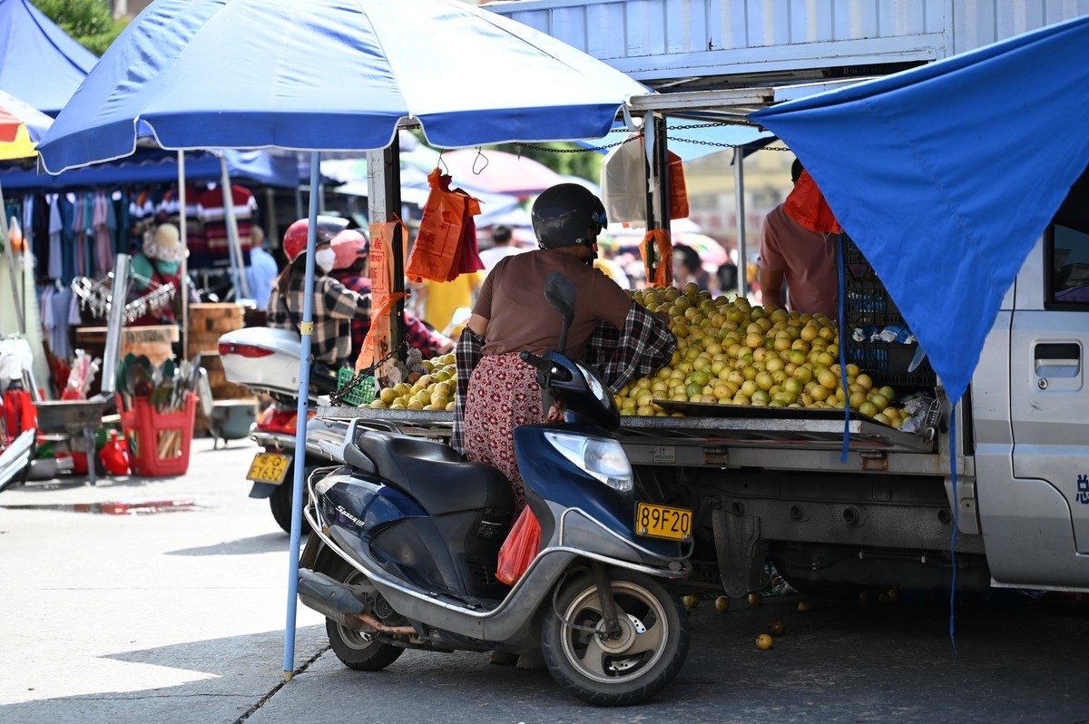 尼康Z105mm f/2.8 VR S 集市试拍 2