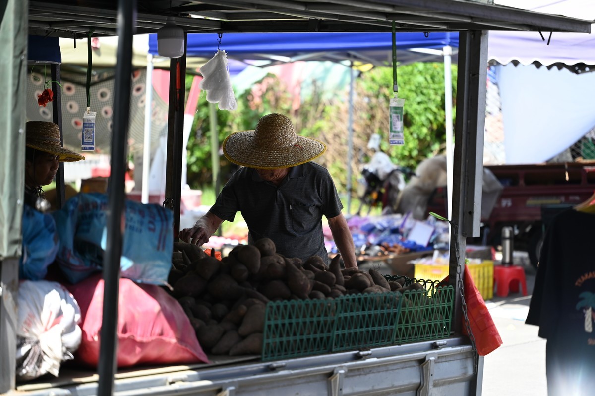 尼康Z105mm f/2.8 VR S 集市试拍 2