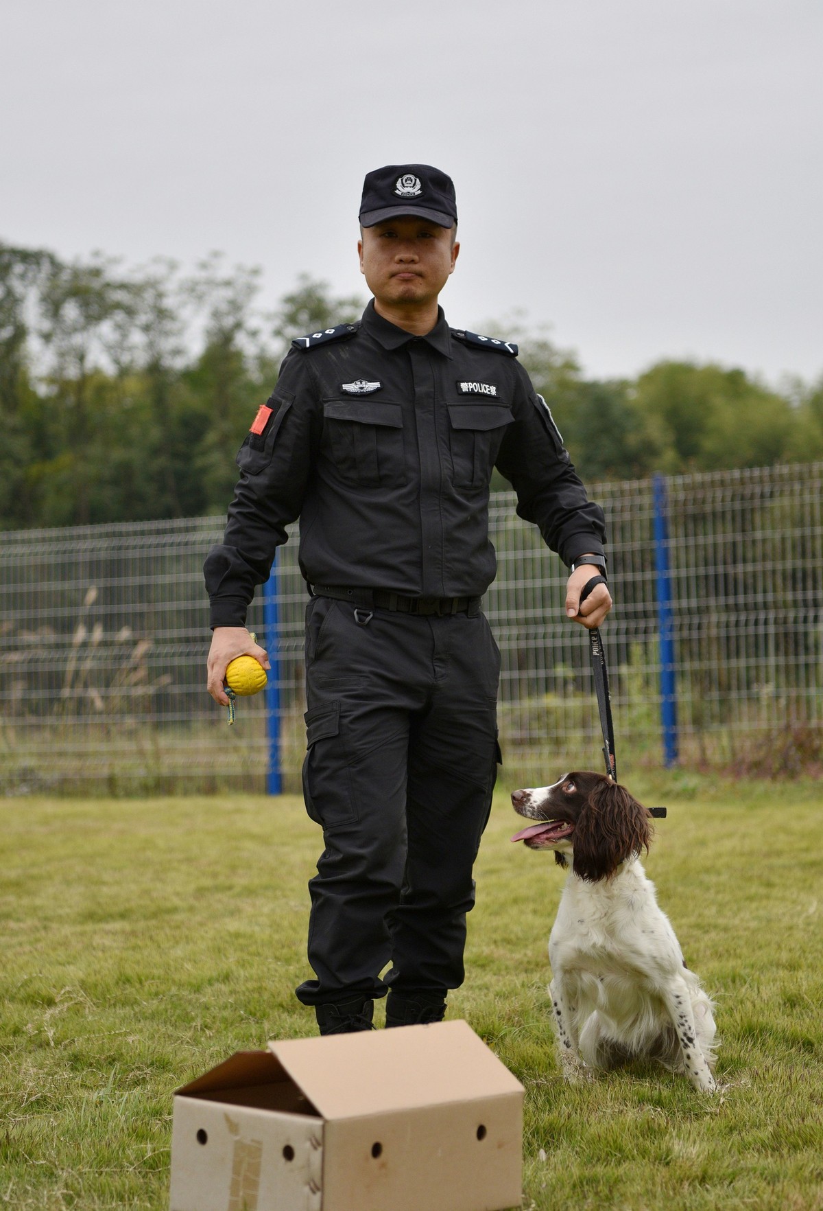 把警察训练成警犬图片