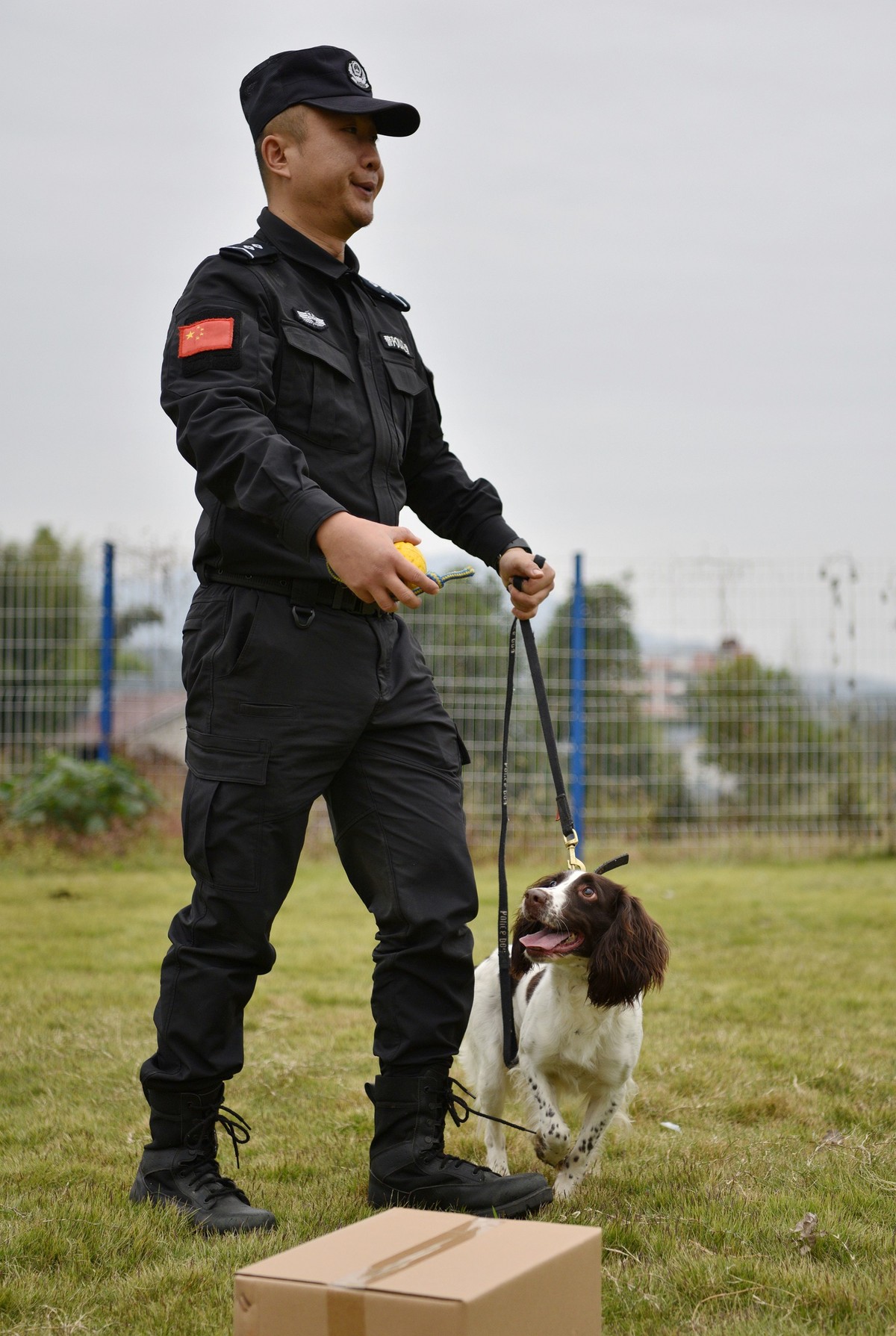 把警察训练成警犬图片