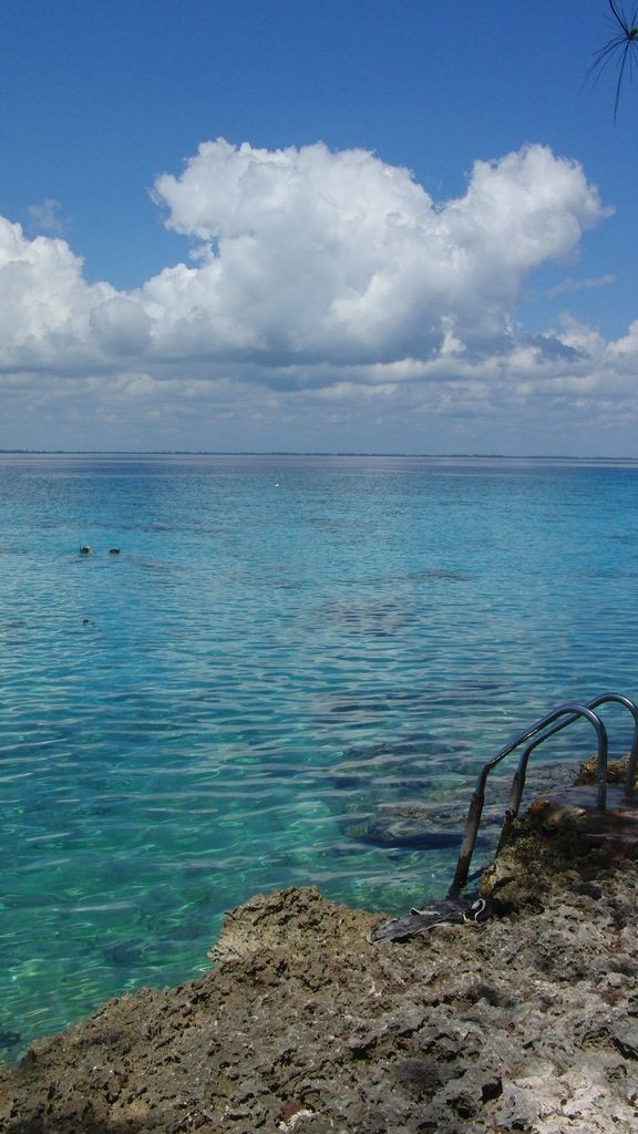 观海