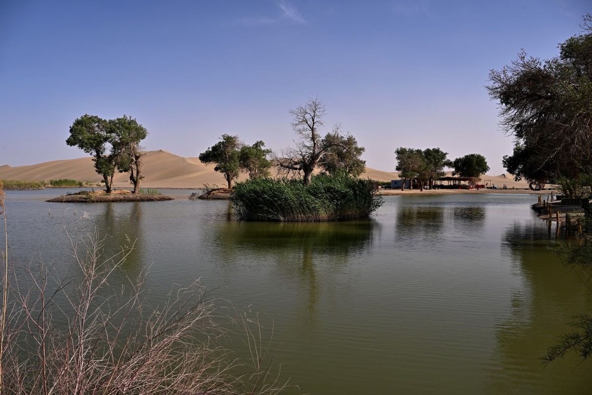 新疆游/罗布人村寨(26)