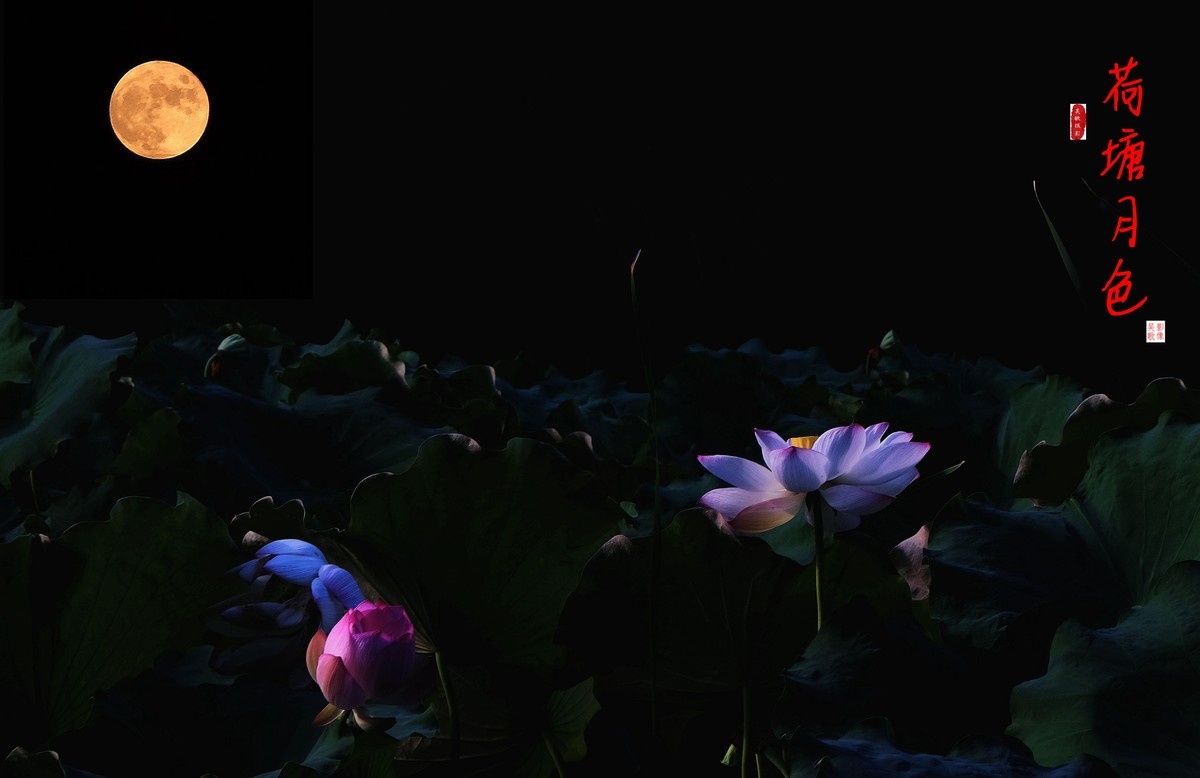 荷塘月色