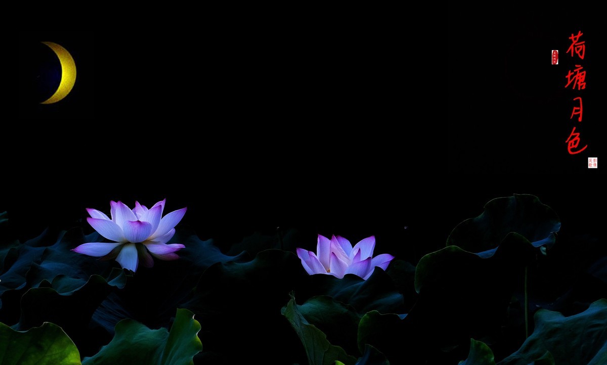 荷塘月色