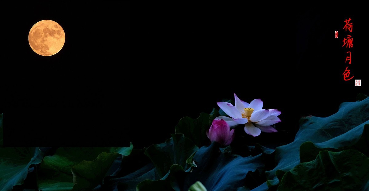 荷塘月色