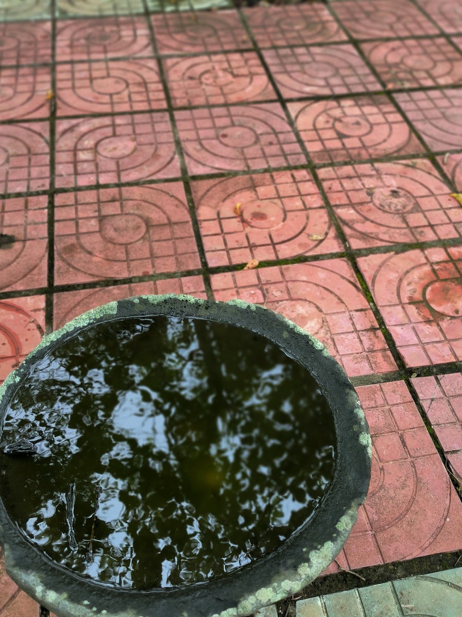 2024夏 海南环岛行（164）“东坡路”