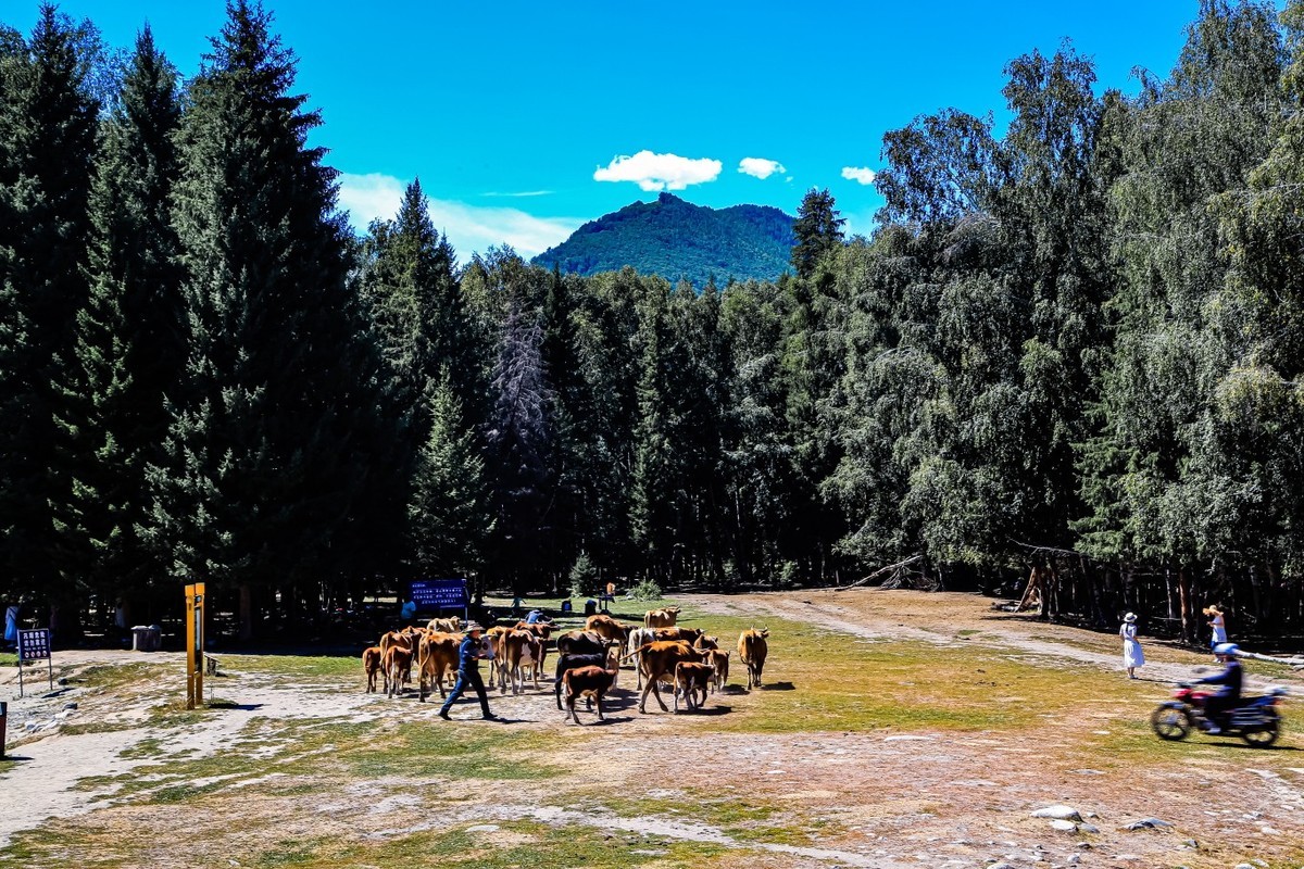 新疆禾木风景（二）