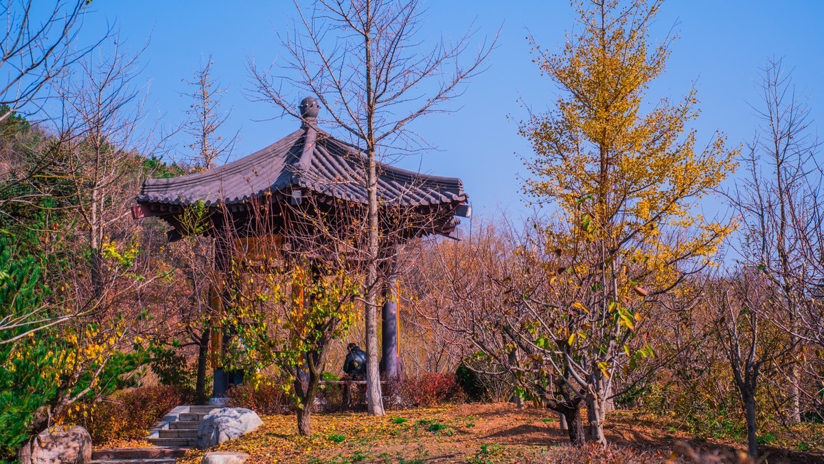 大 连 横 山 寺 公 园 景 区 （ 四 ）