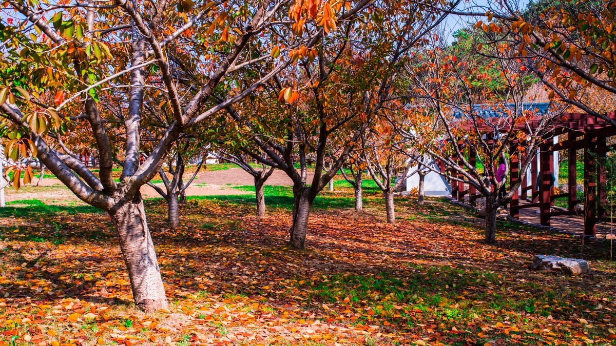 大 连 横 山 寺 公 园 景 区 （ 四 ）