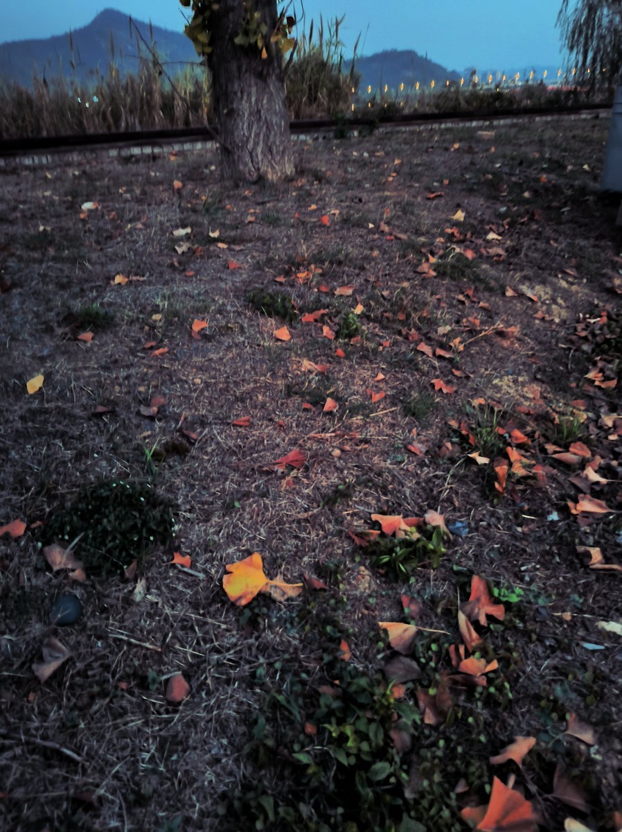 漫步星城 走街串巷（520）德楼核心区夜景