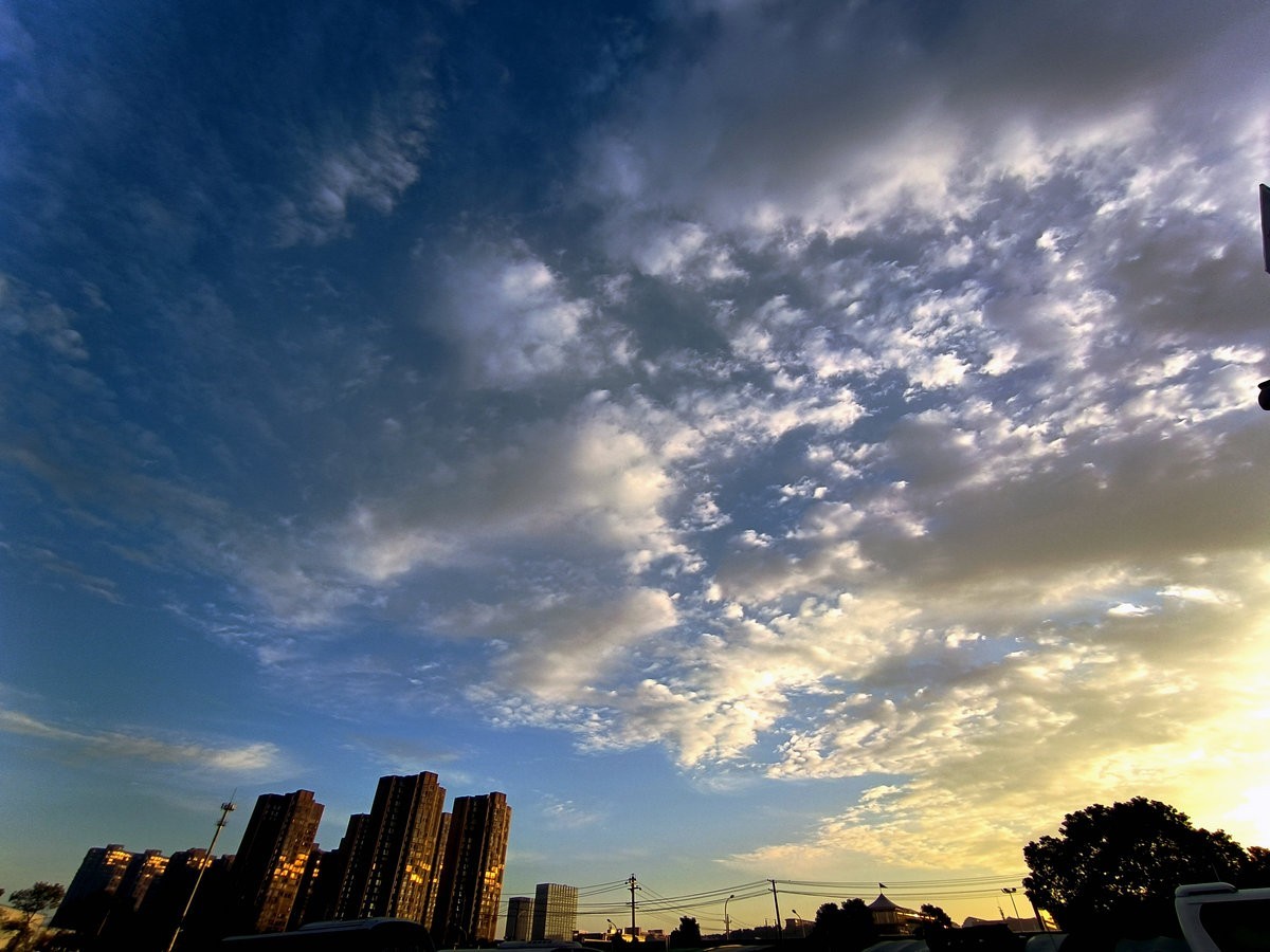 漫步星城 走街串巷（563）晨花