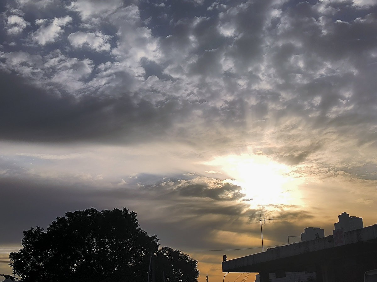 漫步星城 走街串巷（563）晨花