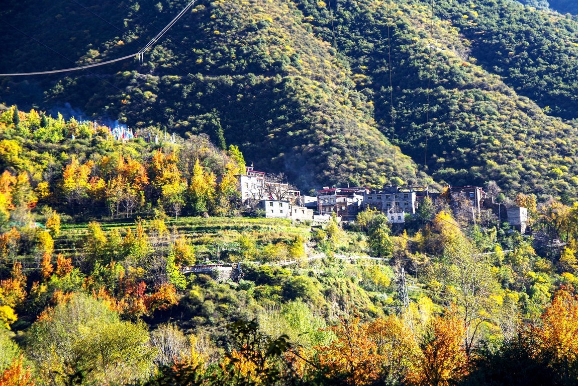 金秋川西行摄【21】黑水至金川