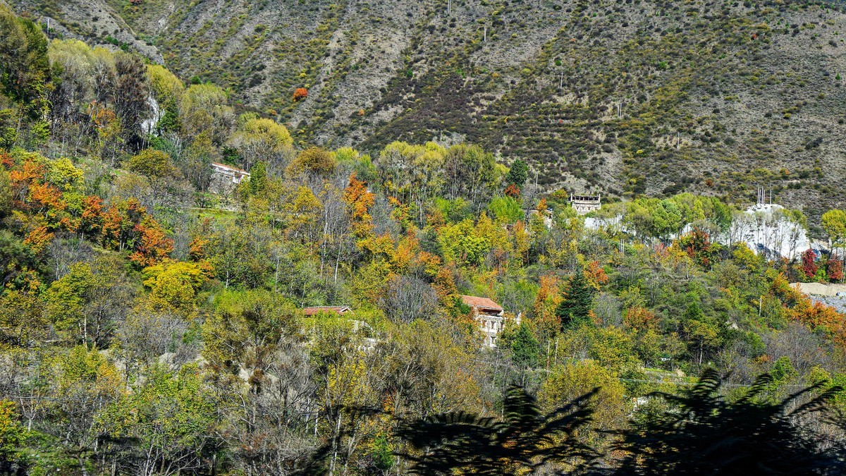 金秋川西行摄【21】黑水至金川