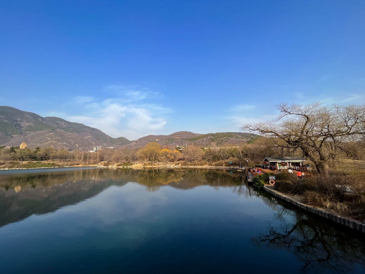 2023年第0194贴-公园春游随拍（0325F）