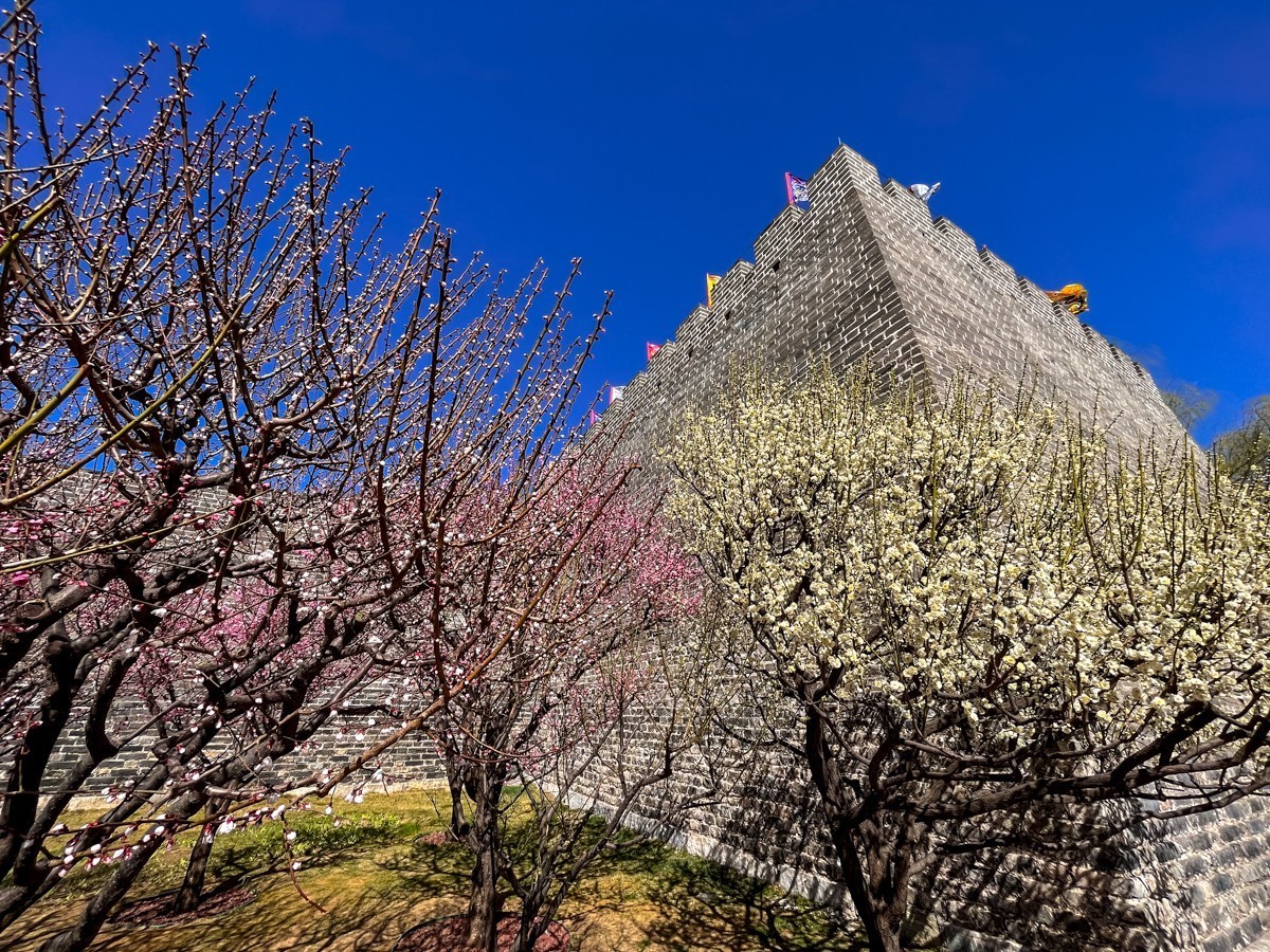 2023年第0194贴-公园春游随拍（0325F）