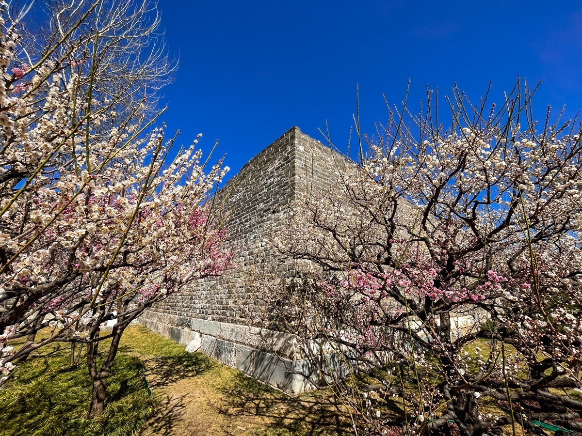 2023年第0194贴-公园春游随拍（0325F）