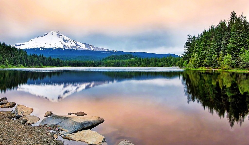 闲来无事发发贴