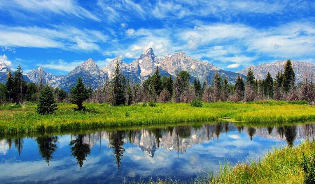 闲来无事发发贴