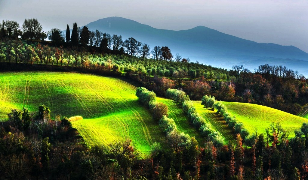 闲来无事发发贴