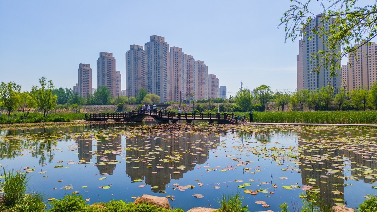大 连 前 关 湿 地