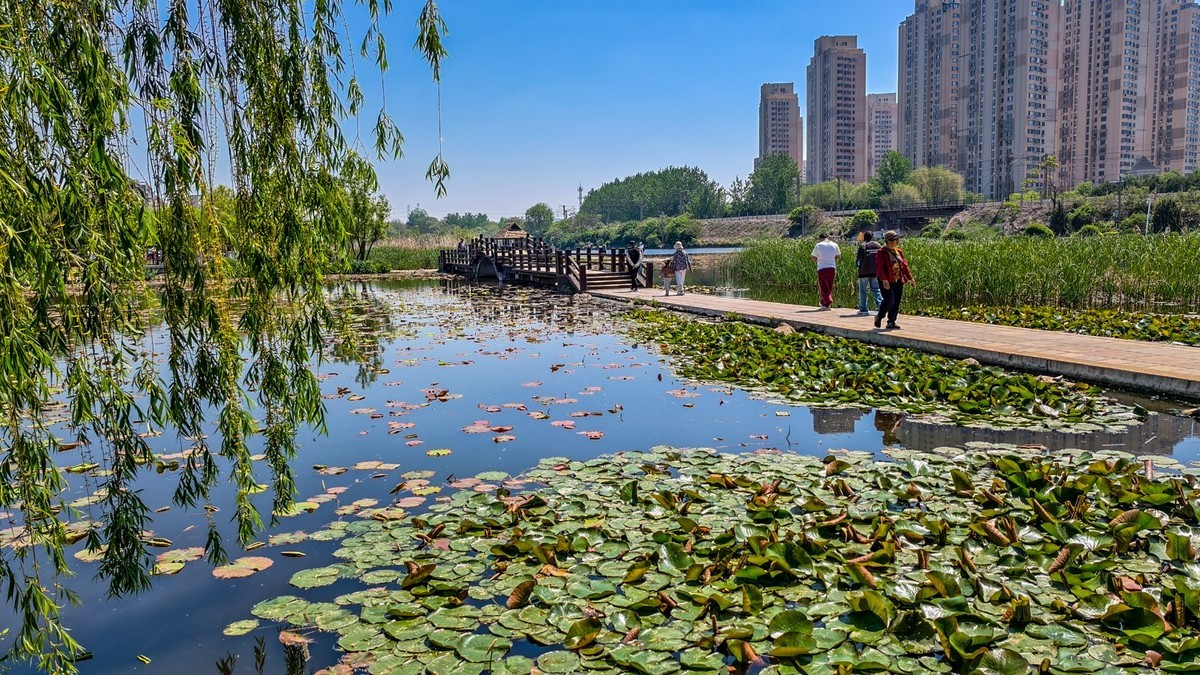 大 连 前 关 湿 地