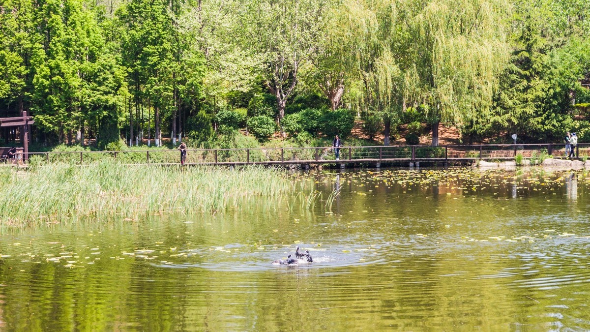 大 连 前 关 湿 地