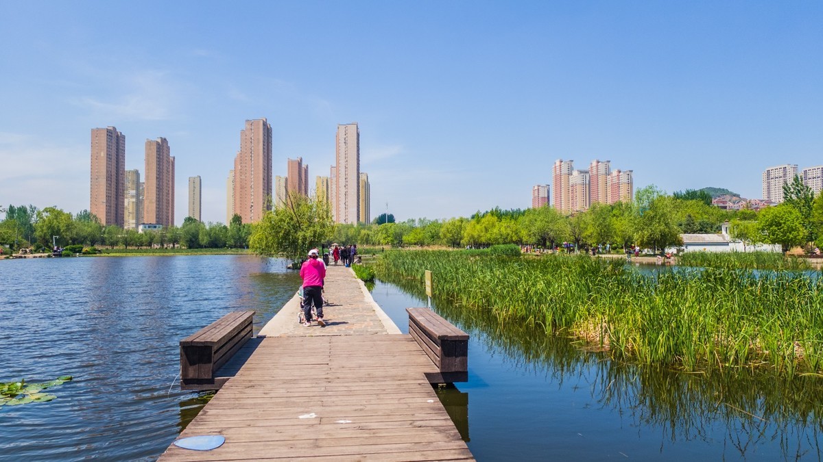 大 连 前 关 湿 地