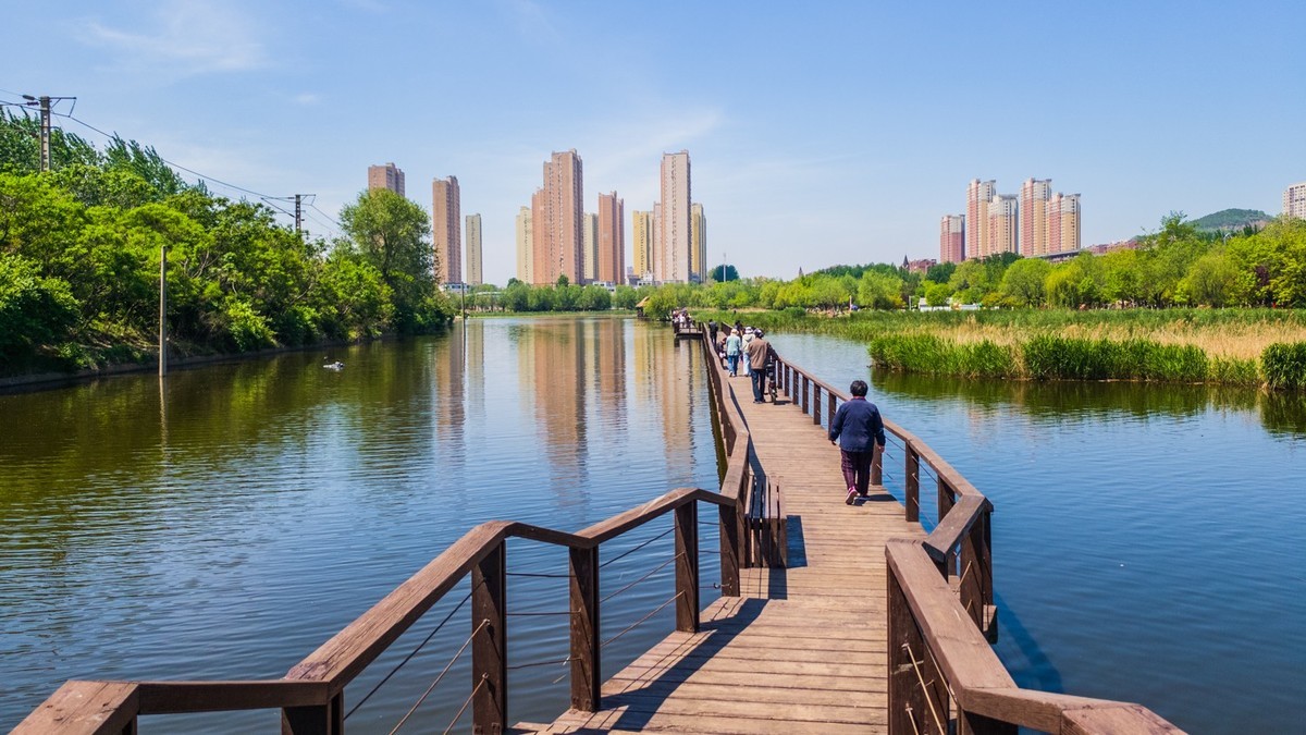 大 连 前 关 湿 地