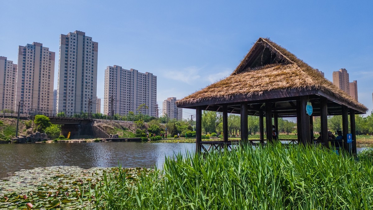 大 连 前 关 湿 地