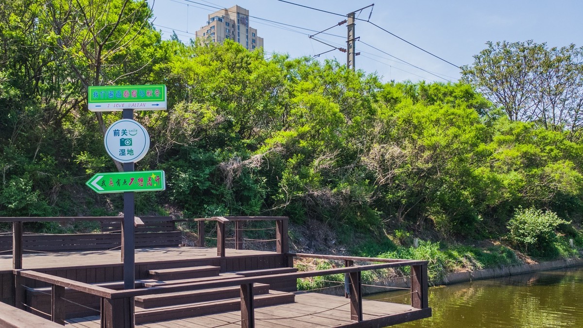 大 连 前 关 湿 地