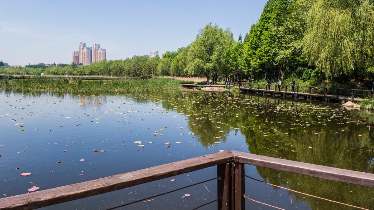 大 连 前 关 湿 地