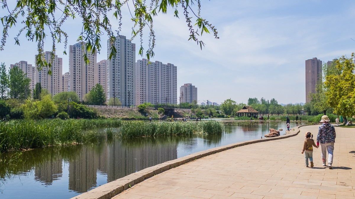 大 连 前 关 湿 地