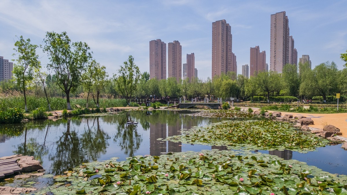 大 连 前 关 湿 地