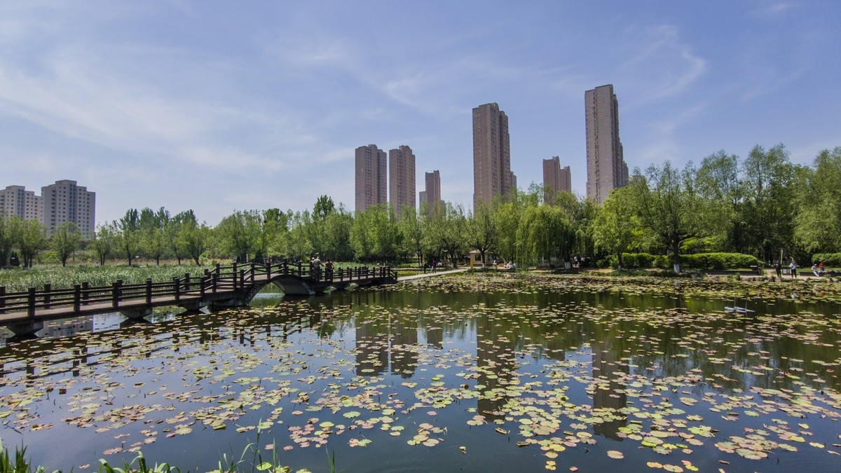 大 连 前 关 湿 地