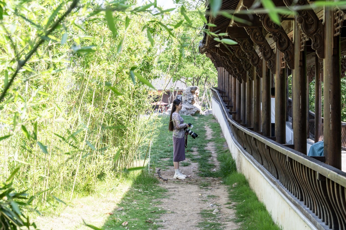 庐州印象（471）六尺巷