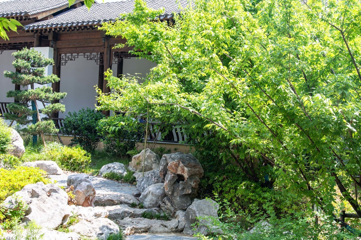 庐州印象（471）六尺巷