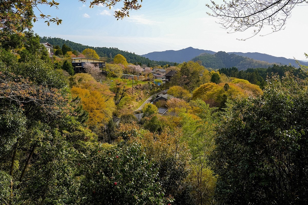 2025年第0362贴-吉野山樱花季旅拍（0529）