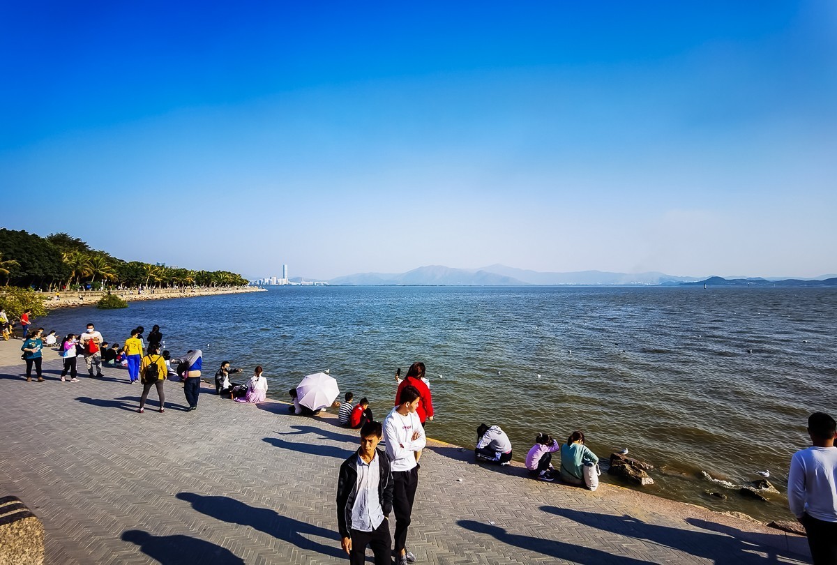 深圳湾公园掠影