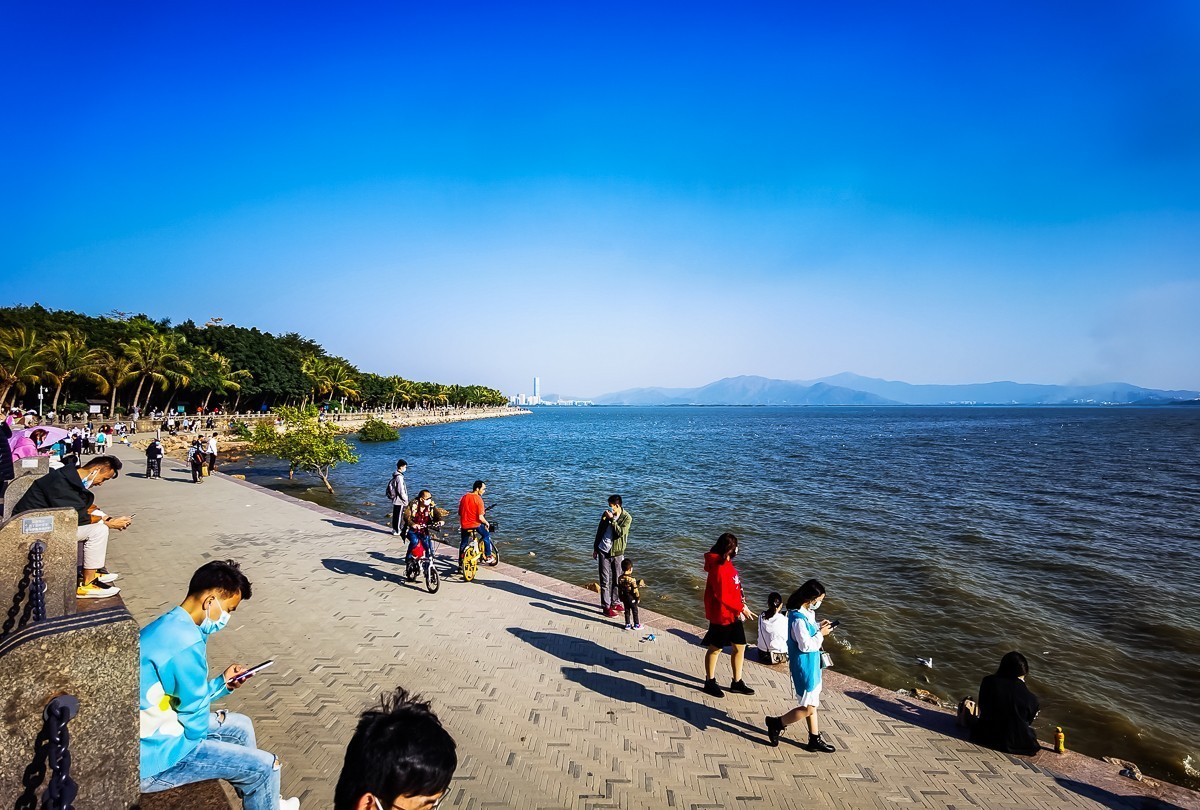 深圳湾公园掠影