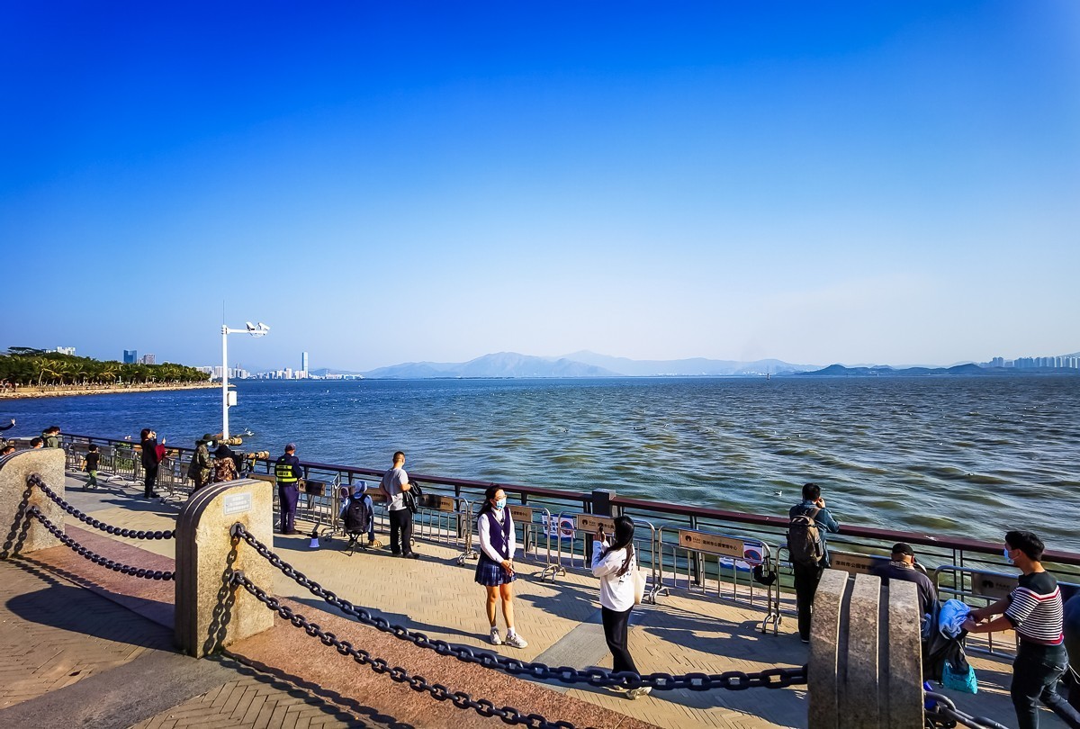 深圳湾公园掠影