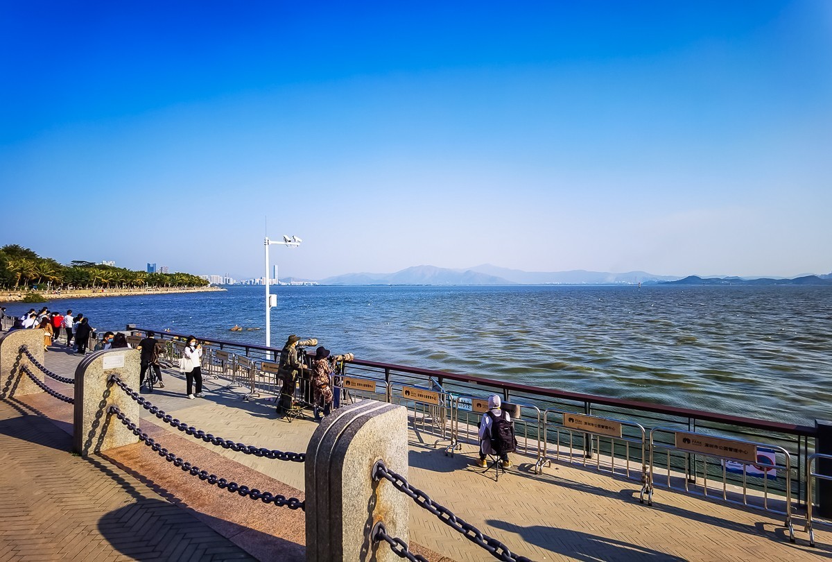 深圳湾公园掠影