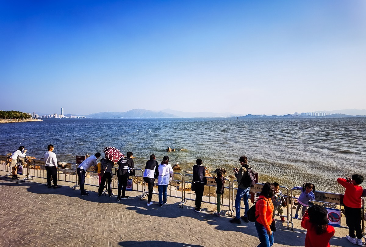 深圳湾公园掠影