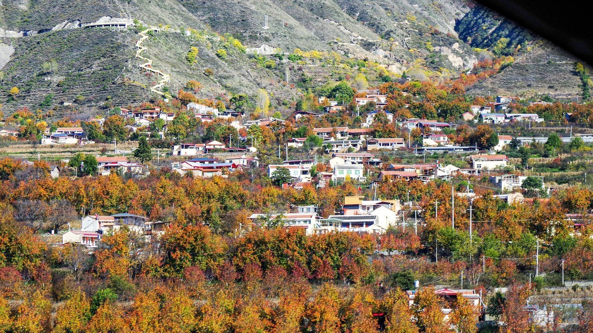 金秋川西行摄【21】黑水至金川