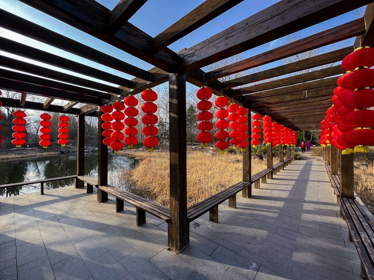 2023年第0194贴-公园春游随拍（0325F）