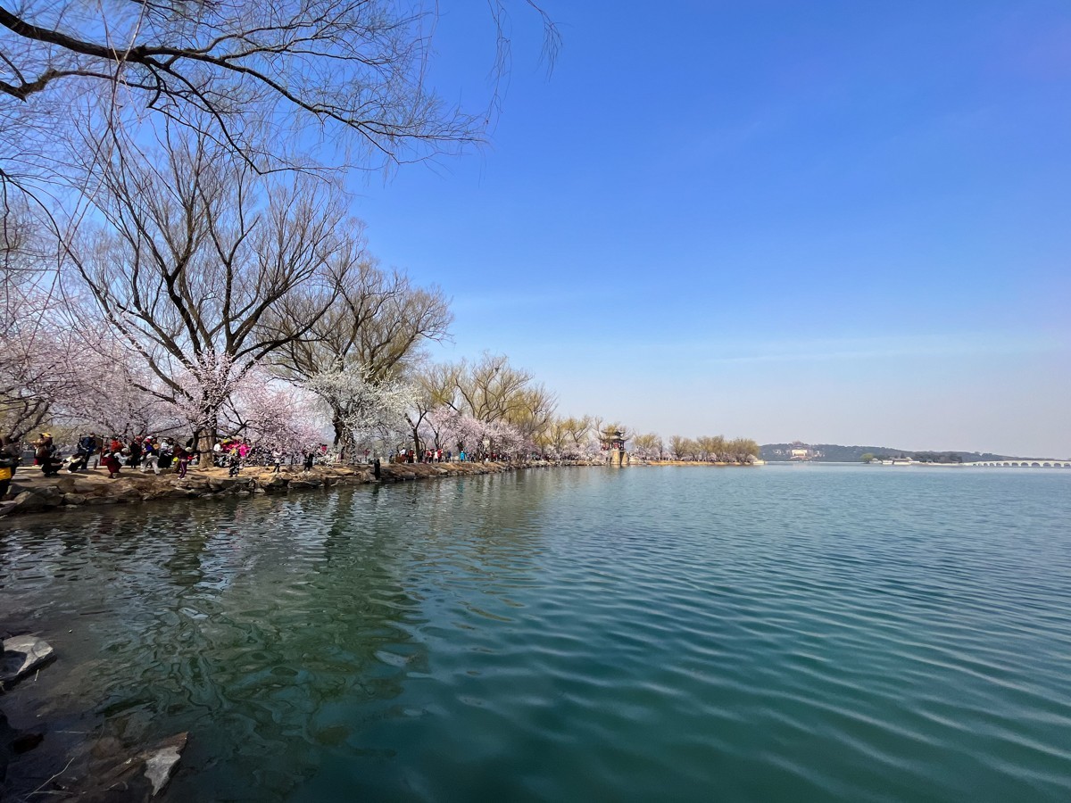 2023年第0194贴-公园春游随拍（0325F）