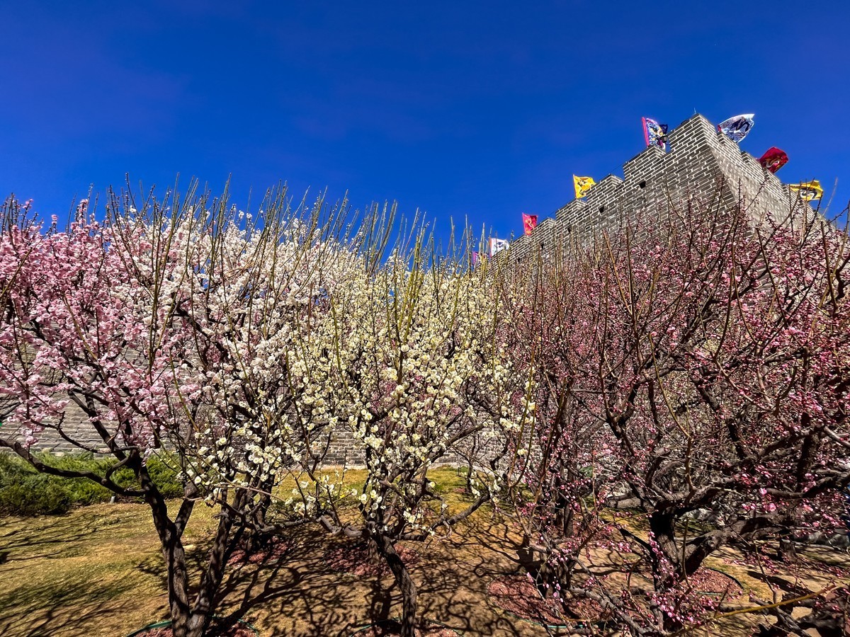 2023年第0194贴-公园春游随拍（0325F）