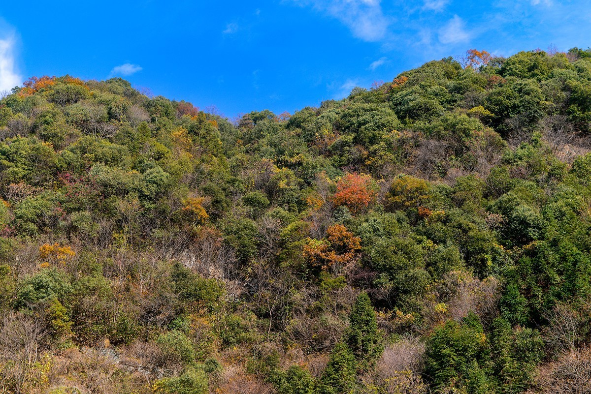 皖南川藏线     六道湾