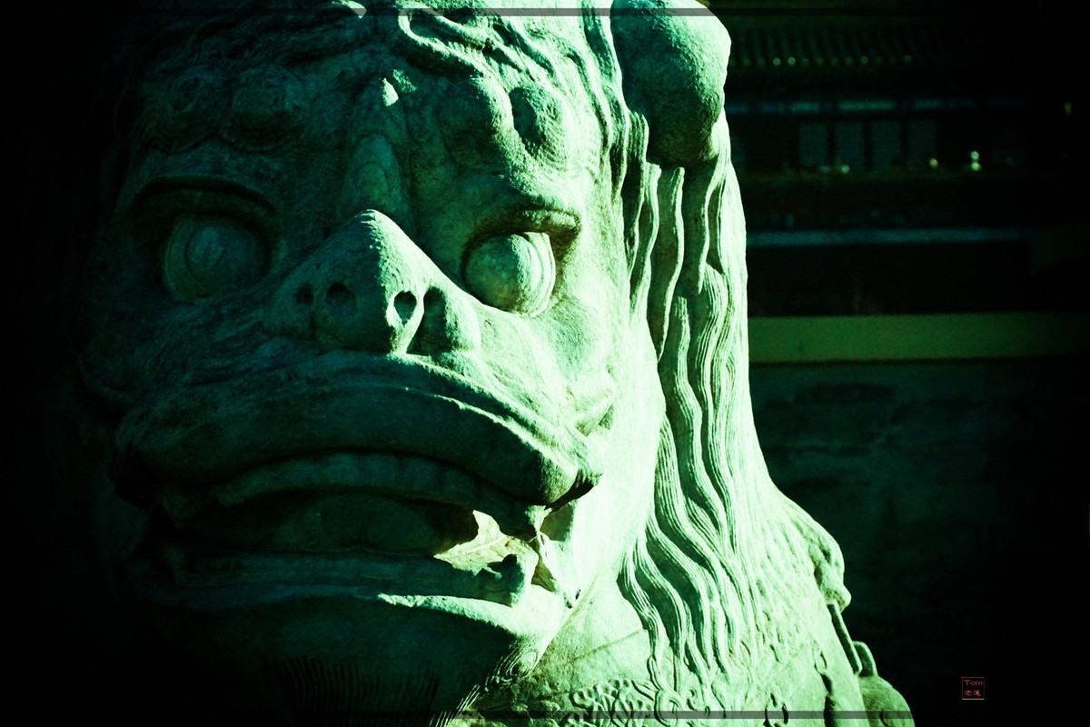 另类诠释中国古典建筑