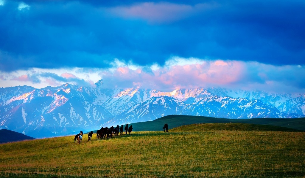 闲来无事发发贴